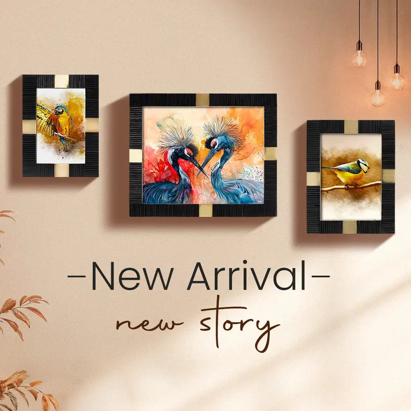 New Picture Frame Styles