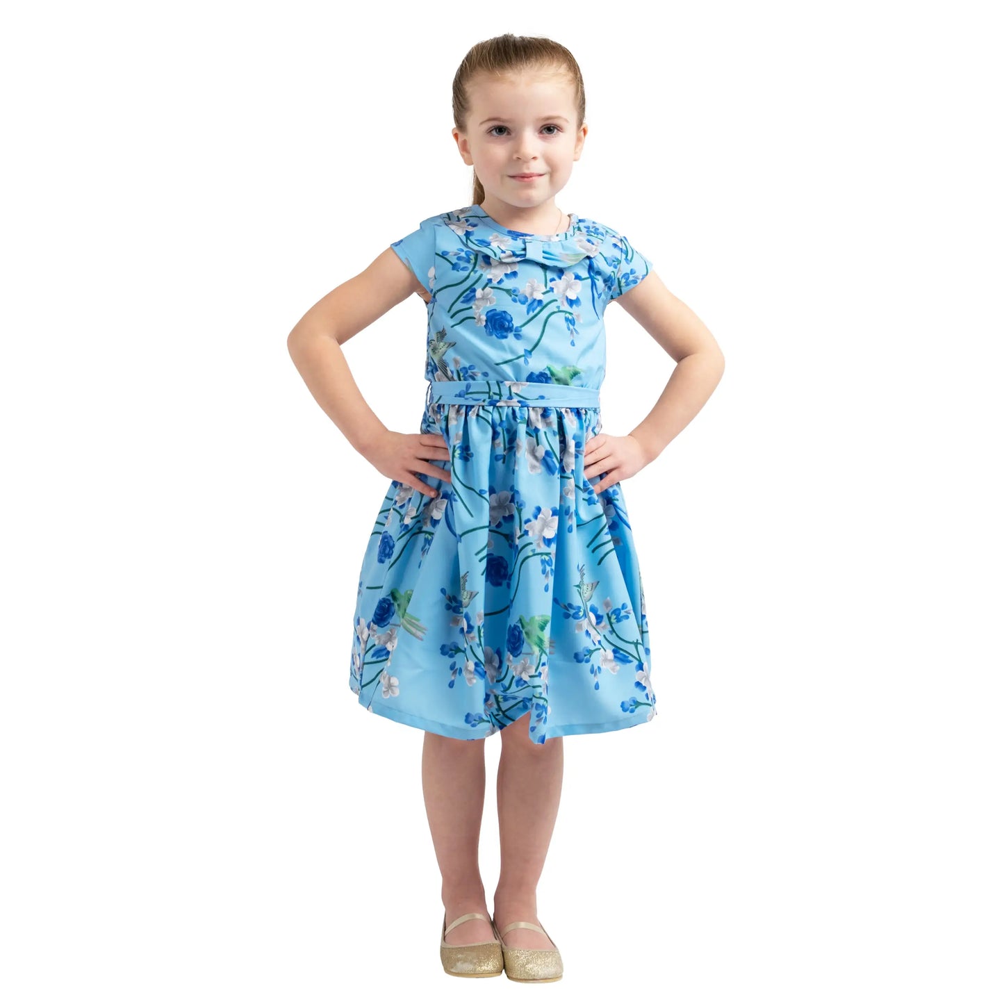 Girls Kids Vintage Style Peter Pan Collar Dresses Bird Print - Available in 3 Colors